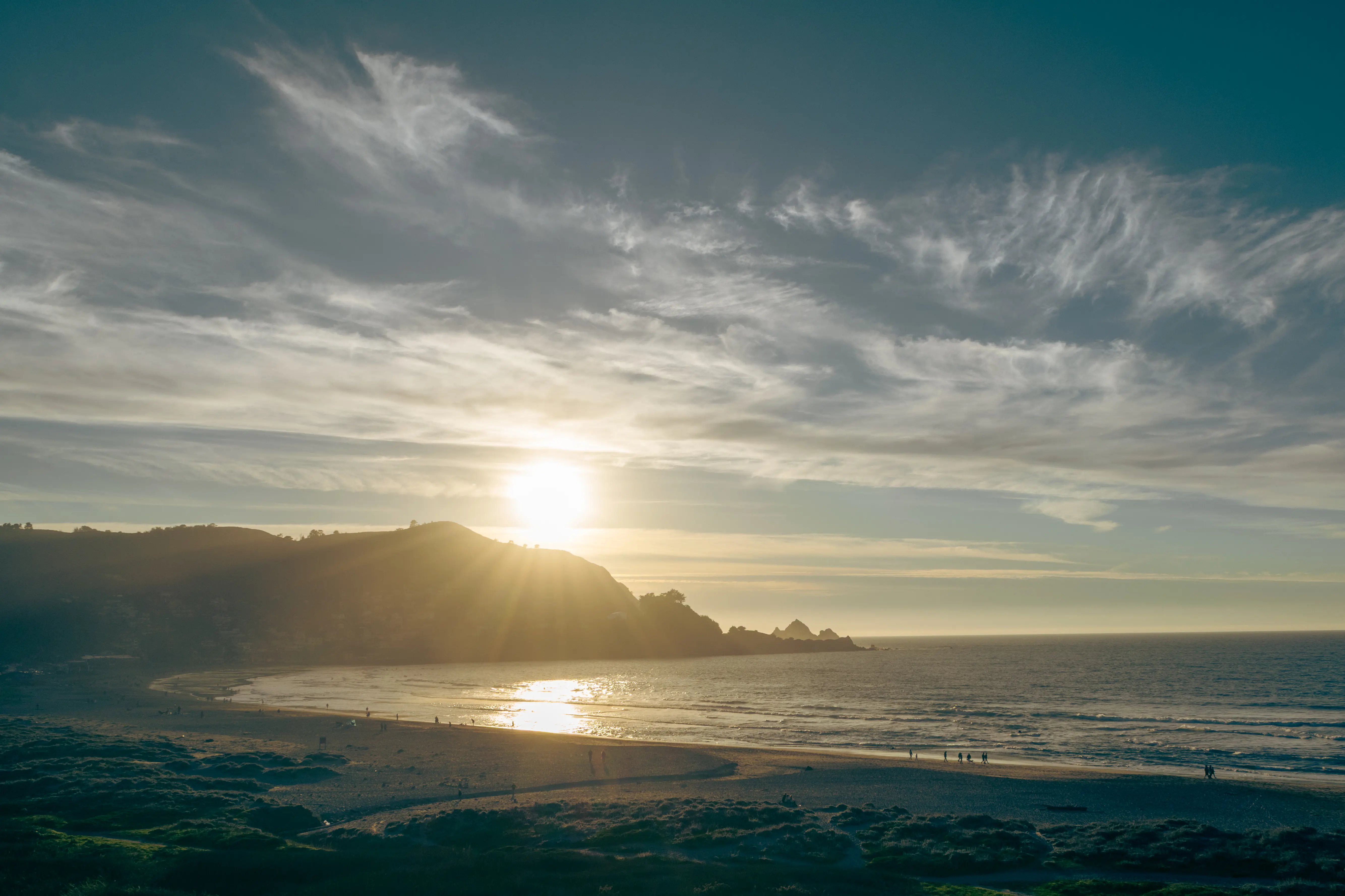 Calming coastal dune grass